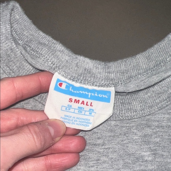 VINTAGE 90s Champion Heather Gray Tee with Colorful Logo - Picture 2 of 5